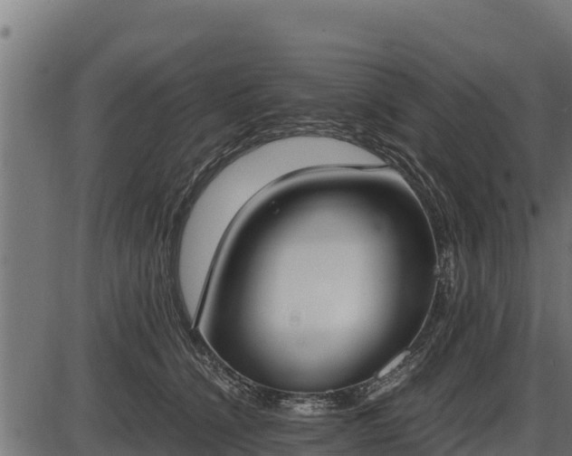 X0000086310564200704091050