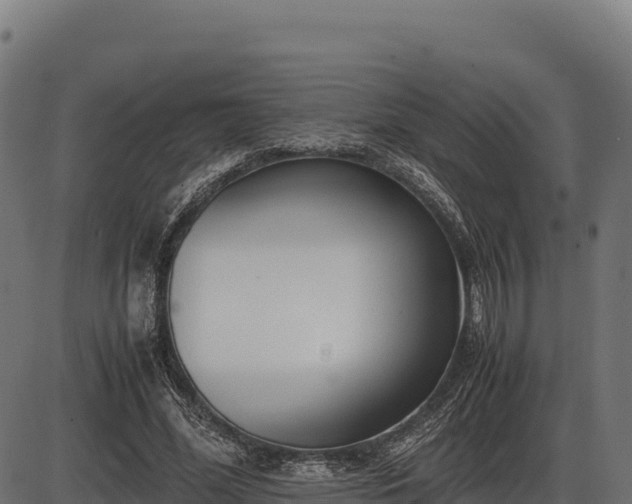 X0000086310588200704091049