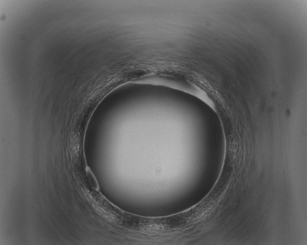 X0000086310593200704091049