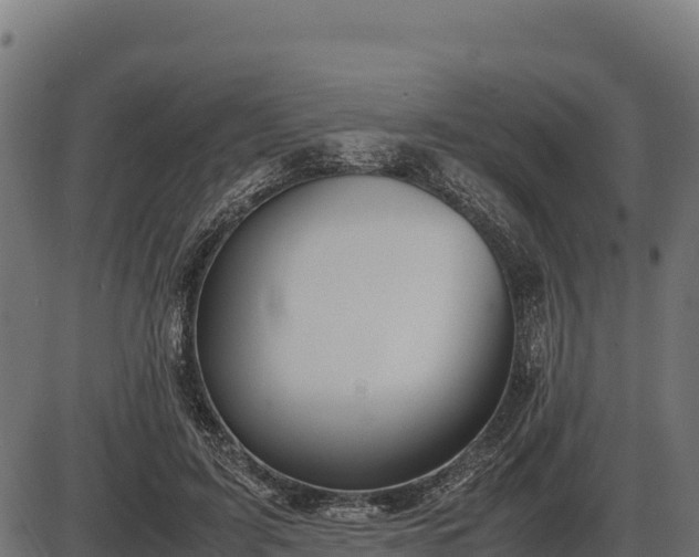X0000086310595200704091049