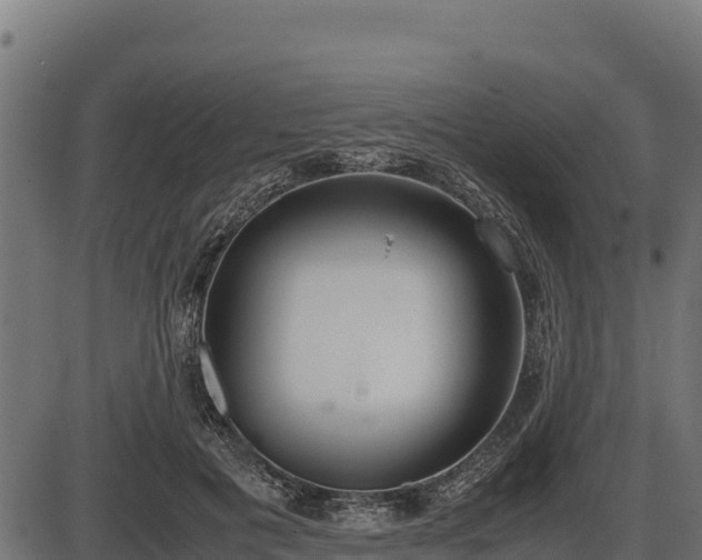 X0000086310601200704091049
