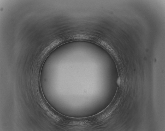 X0000086310625200704091047