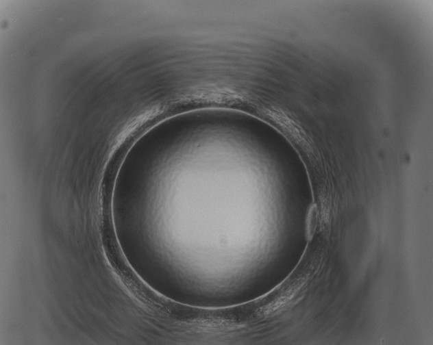 X0000086310630200704091048