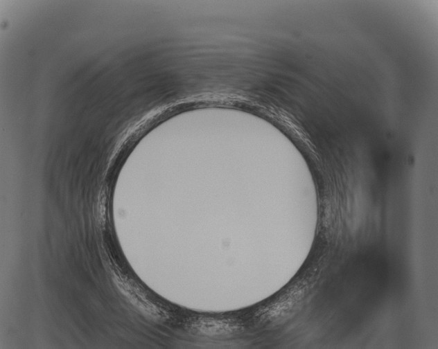 X0000086310632200704091048
