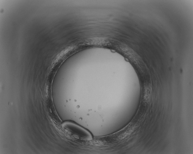 X0000086310636200704091048