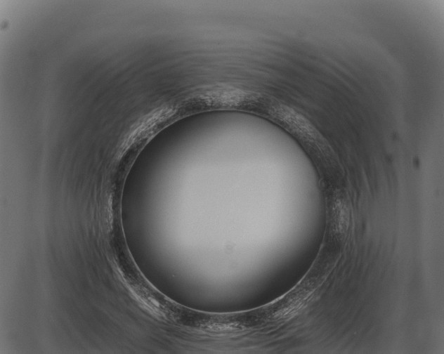 X0000086310638200704091048