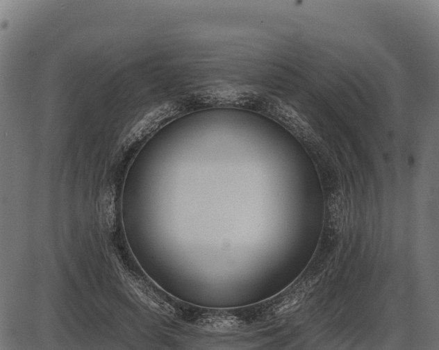 X0000086310642200704091048