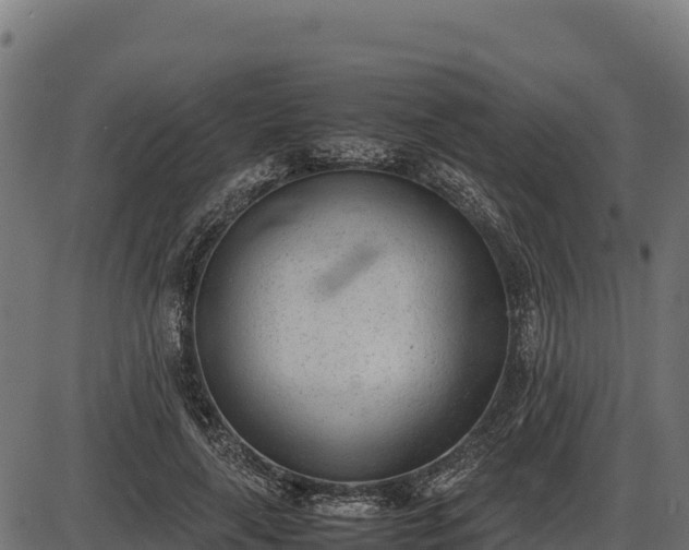 X0000086310643200704091048