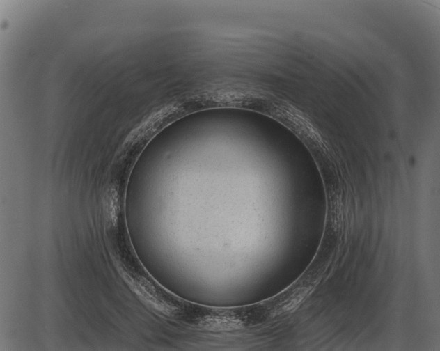 X0000086310644200704091048