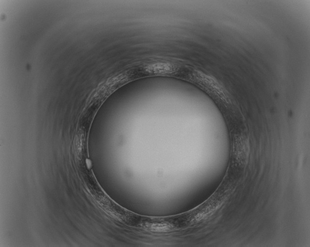 X0000086310645200704091048