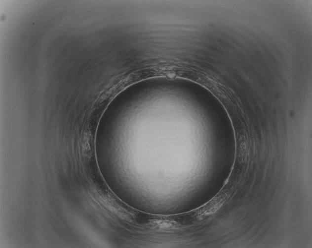 X0000086310654200704091048