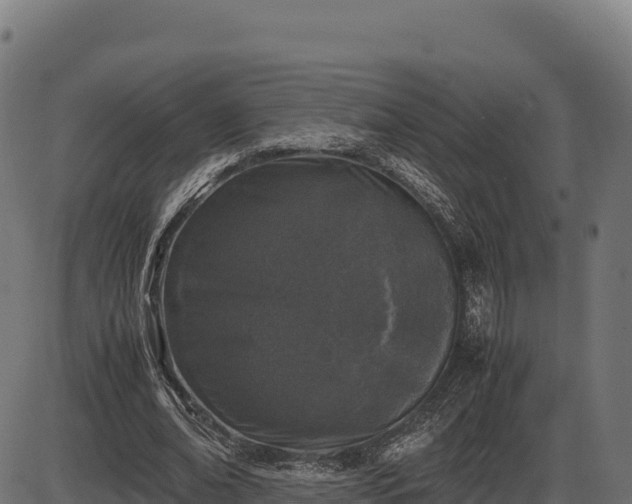 X0000086310678200704091047