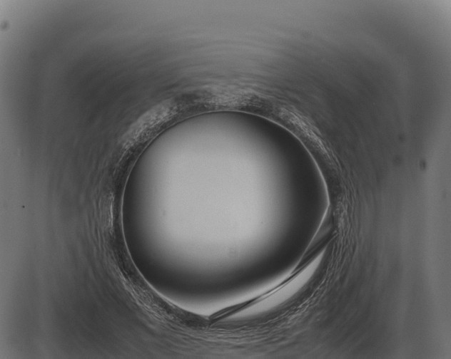 X0000086310685200704091047