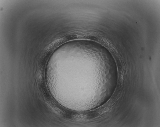 X0000086310691200704091047
