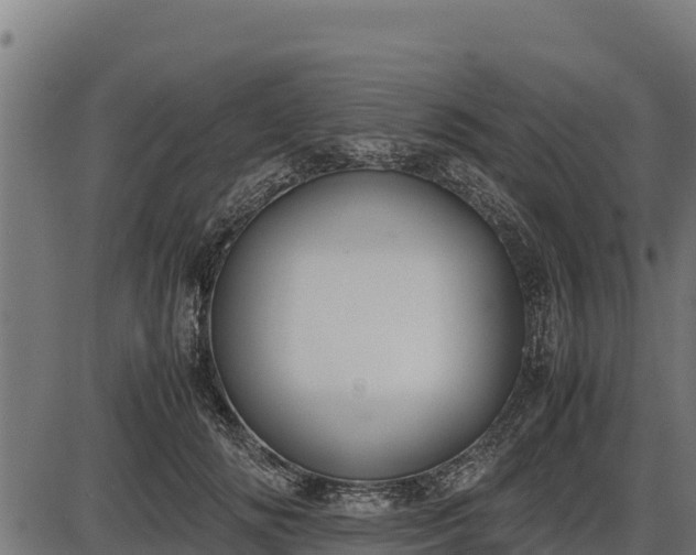 X0000086310702200704091047