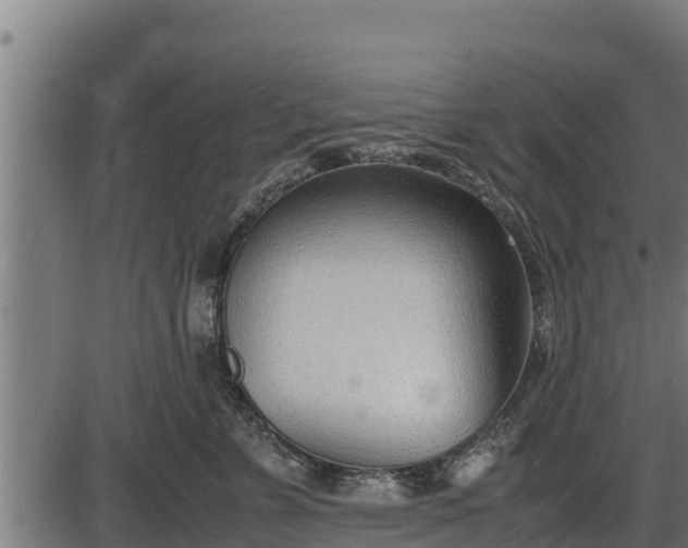 X0000086310715200704091047