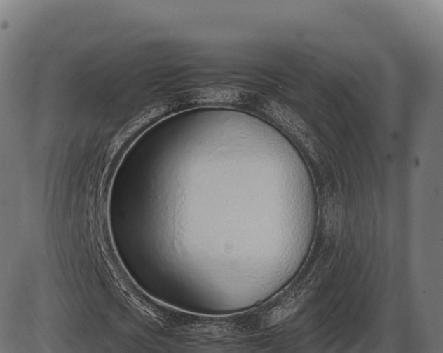X0000086310721200704091046