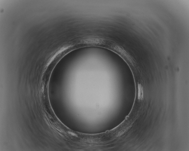 X0000086310723200704091046
