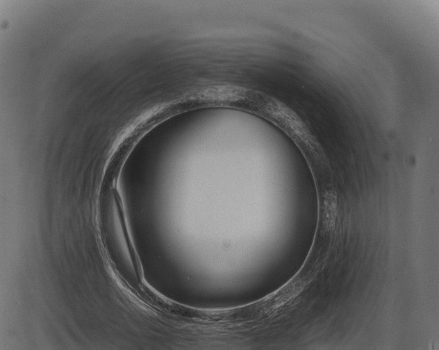 X0000086310726200704091046