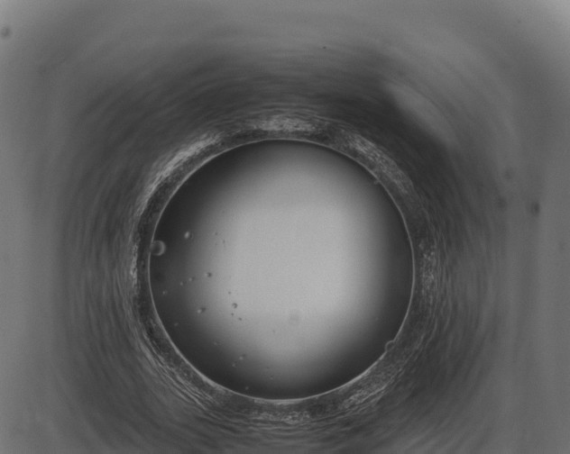 X0000086310727200704091046