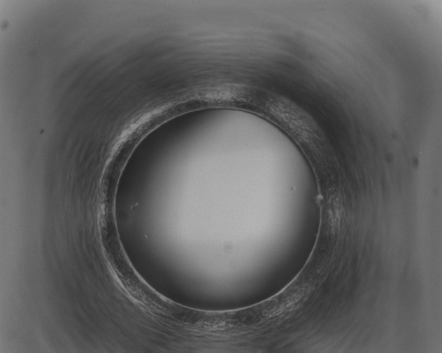 X0000086310728200704091046