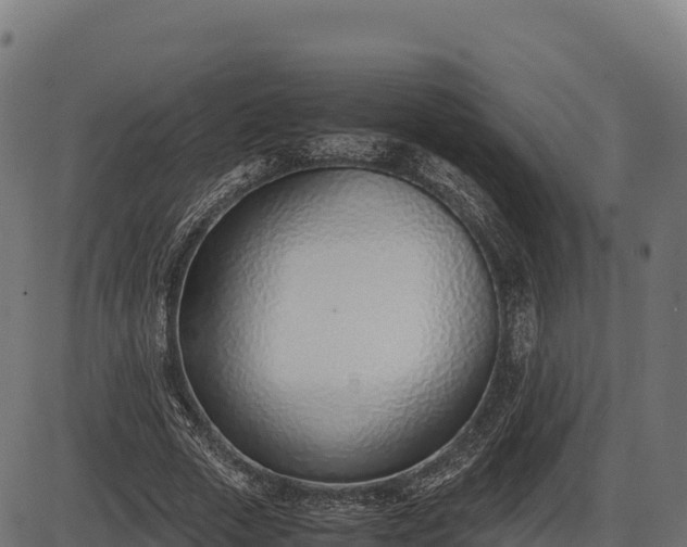 X0000086310729200704091046