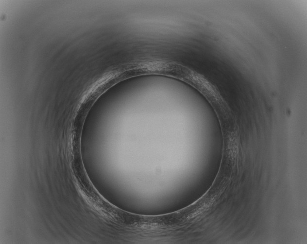 X0000086310730200704091046