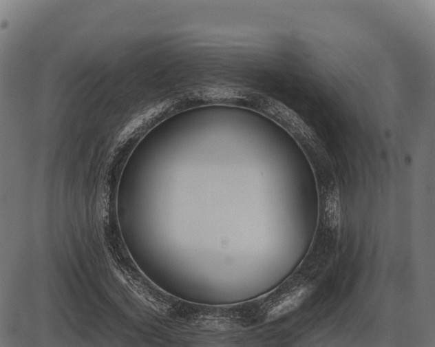 X0000086310732200704091046