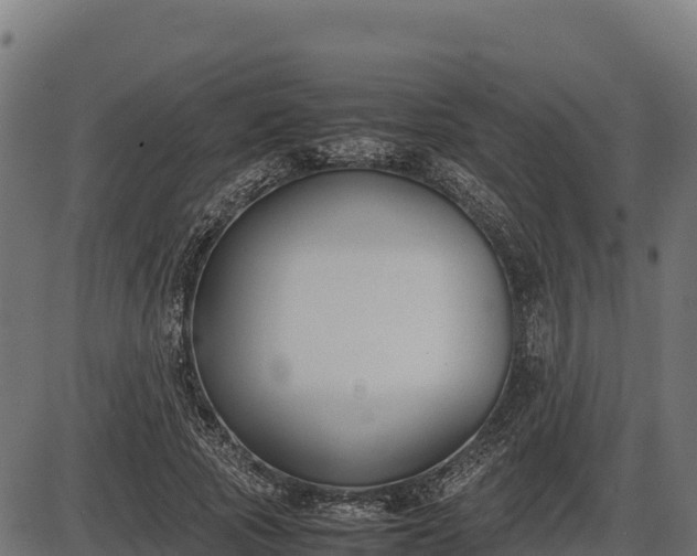 X0000086310737200704091046