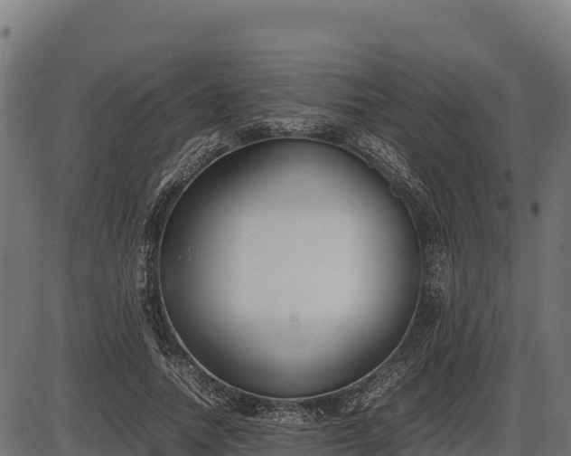 X0000086310738200704091046