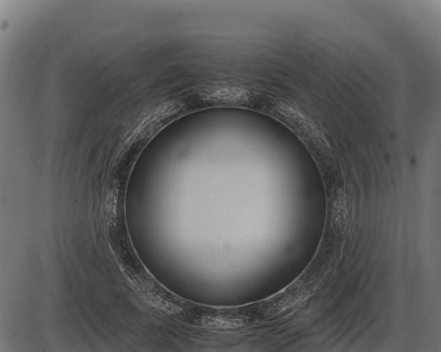 X0000086310739200704091046