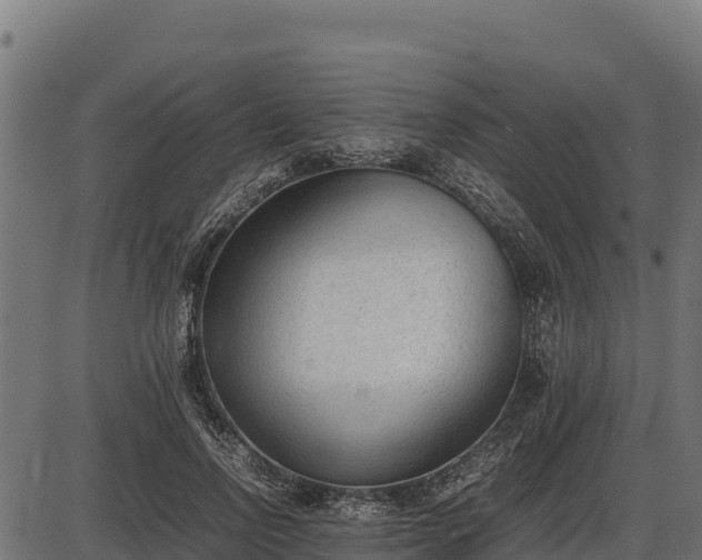 X0000086310742200704091046