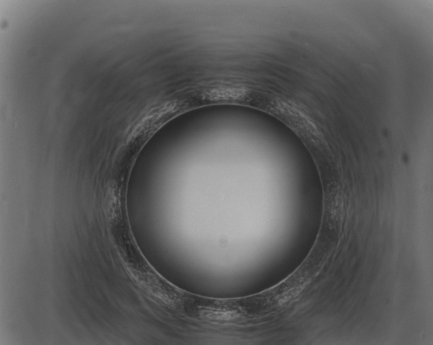 X0000086310743200704091046