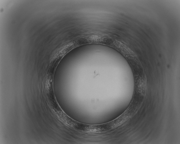 X0000086310746200704091046