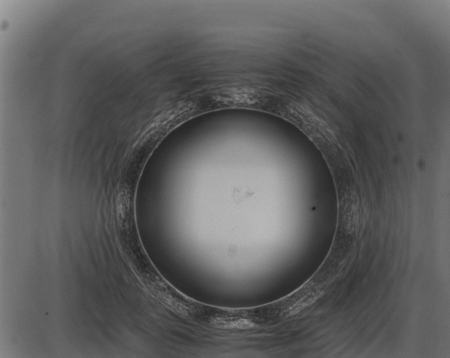 X0000086310747200704091046