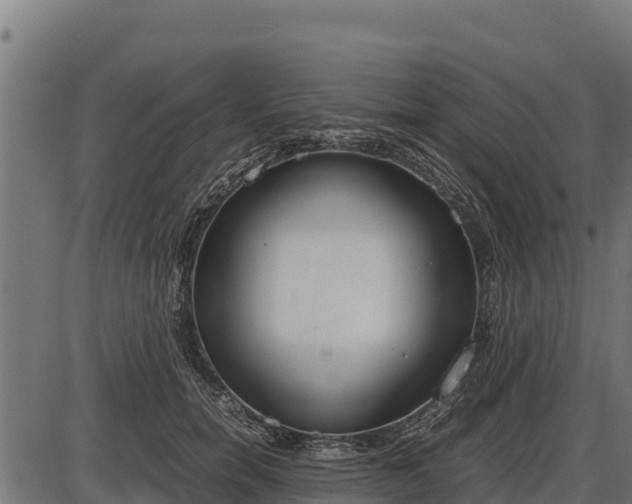 X0000086310750200704091046