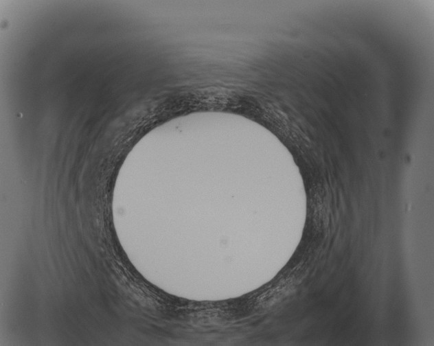 X0000086310769200704091046