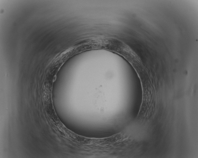 X0000086310773200704091046