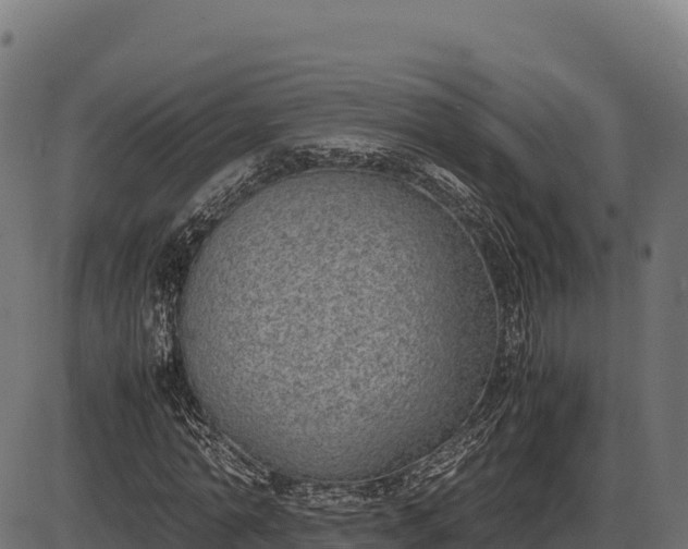 X0000086310774200704091046