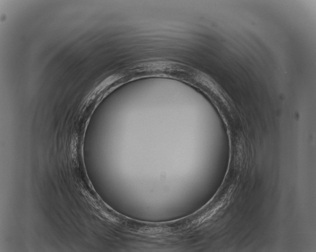 X0000086310778200704091046