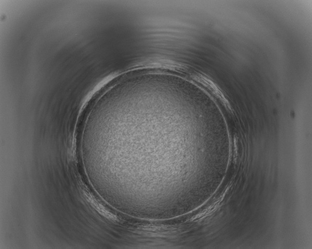 X0000086310780200704091046