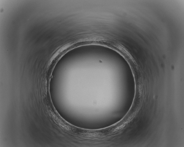 X0000086310781200704091046