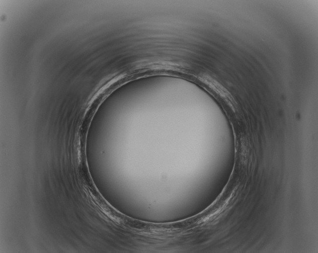 X0000086310782200704091046