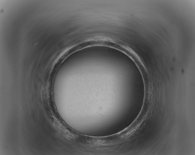 X0000086310783200704091046