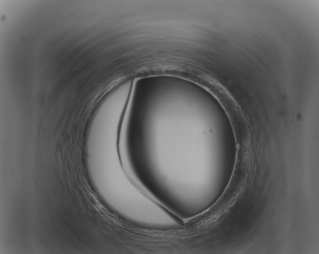 X0000086310785200704091046