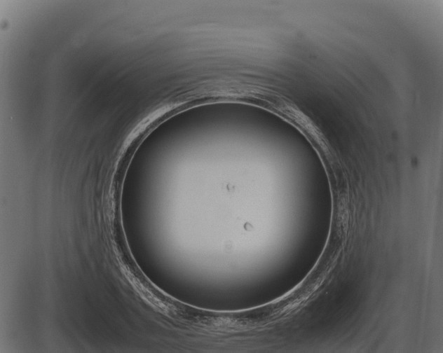 X0000086310787200704091046
