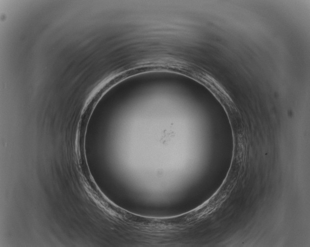 X0000086310788200704091046