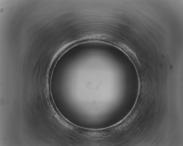 X0000086310792200704091045