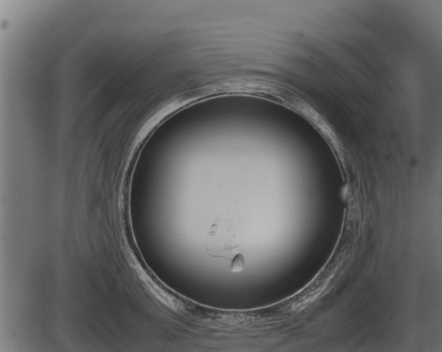 X0000086310803200704091045