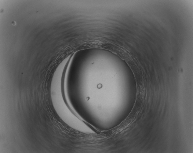 X0000086310818200704091044